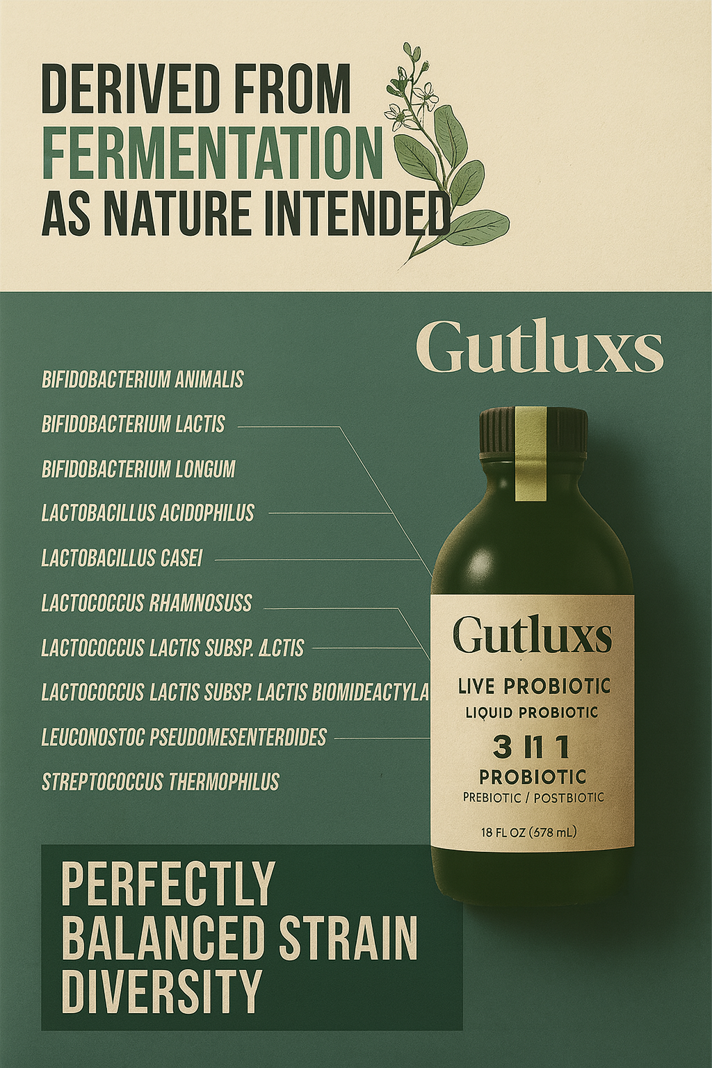 Revitalize Your Health, Energize Your Life!