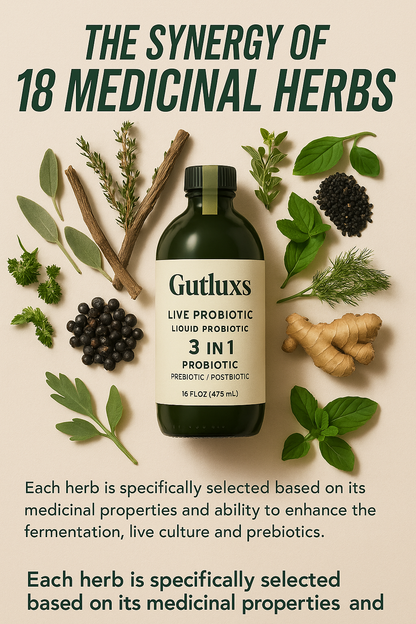 Gutluxs Live Probiotic – 3-in-1 Probiotic
